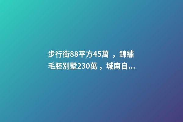 步行街88平方45萬，錦繡毛胚別墅230萬，城南自建房273平帶院165萬